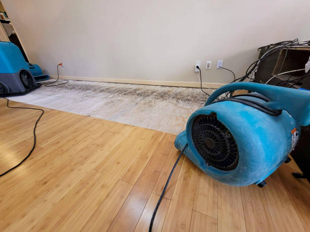 Professional Water Removal technician working in Rancho Santa Margarita, CA